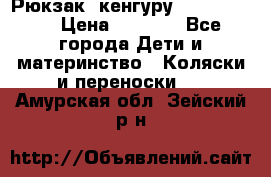 Рюкзак -кенгуру Baby Bjorn  › Цена ­ 2 000 - Все города Дети и материнство » Коляски и переноски   . Амурская обл.,Зейский р-н